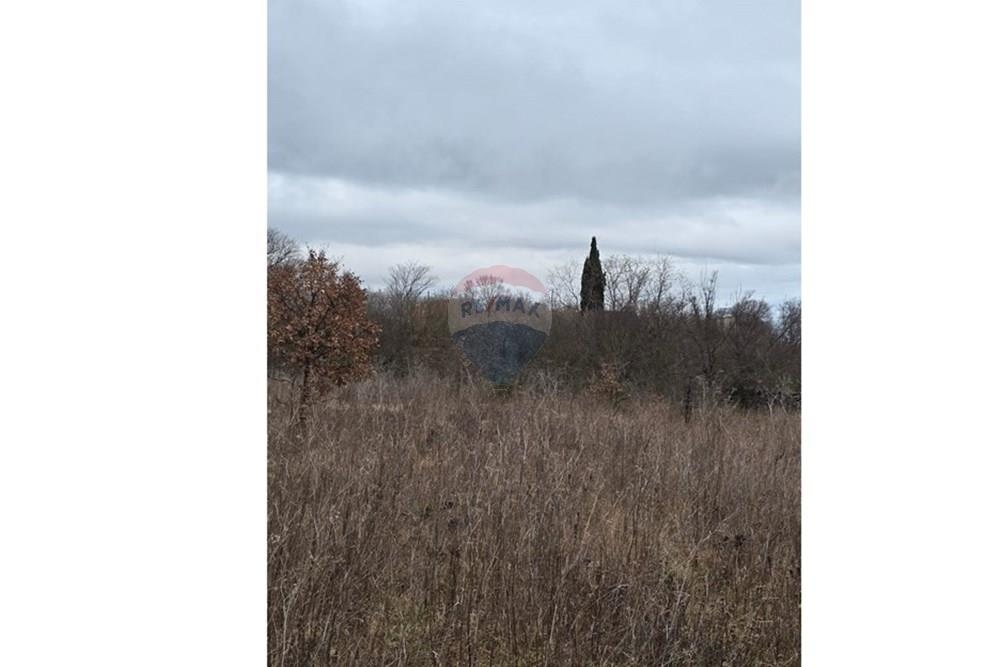 Zemljišče Donji Kašić, Benkovac, 5.986m2