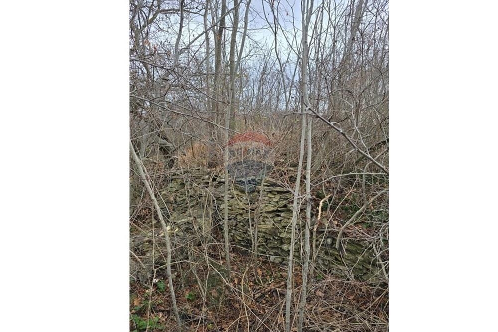 Zemljišče Donji Kašić, Benkovac, 5.986m2