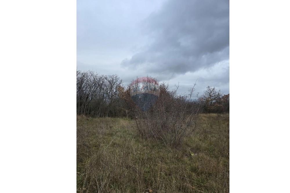 Zemljišče Donji Kašić, Benkovac, 5.986m2