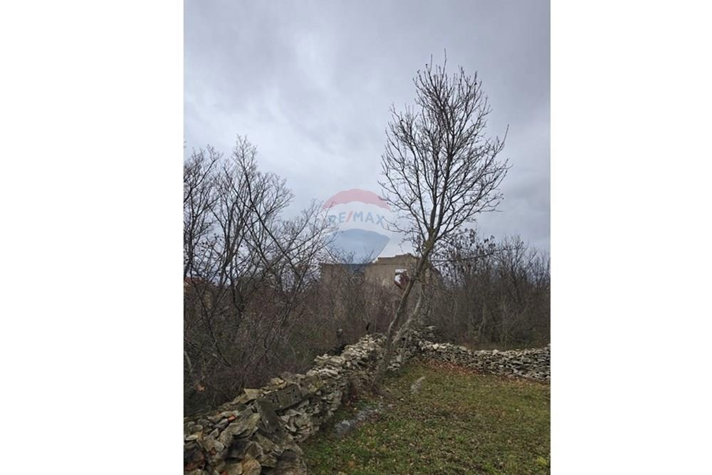 Zemljišče Donji Kašić, Benkovac, 5.986m2