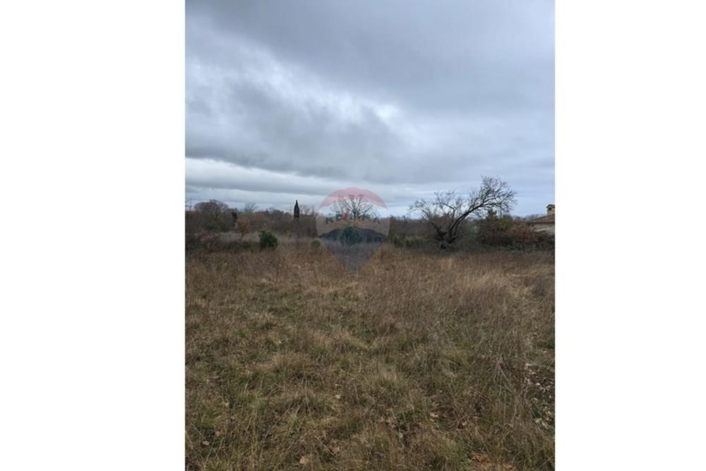 Zemljišče Donji Kašić, Benkovac, 5.986m2