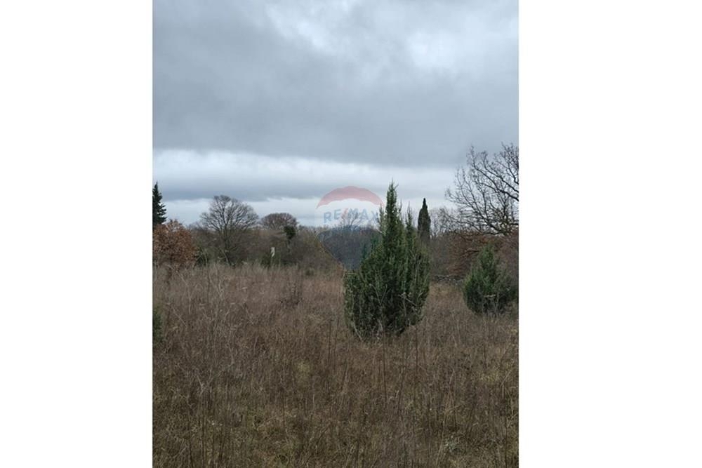 Zemljišče Donji Kašić, Benkovac, 5.986m2