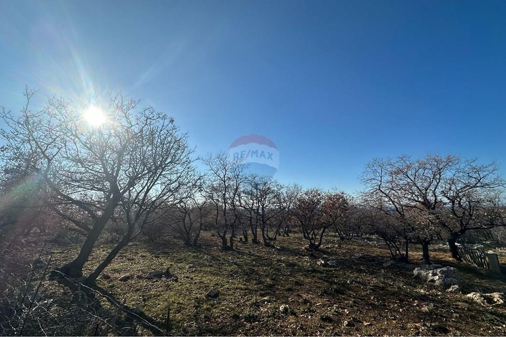 Zemljišče Novalja, 6.478m2