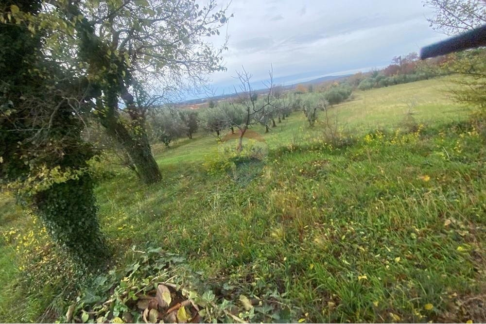 Zemljišče Benkovac, 3.988m2