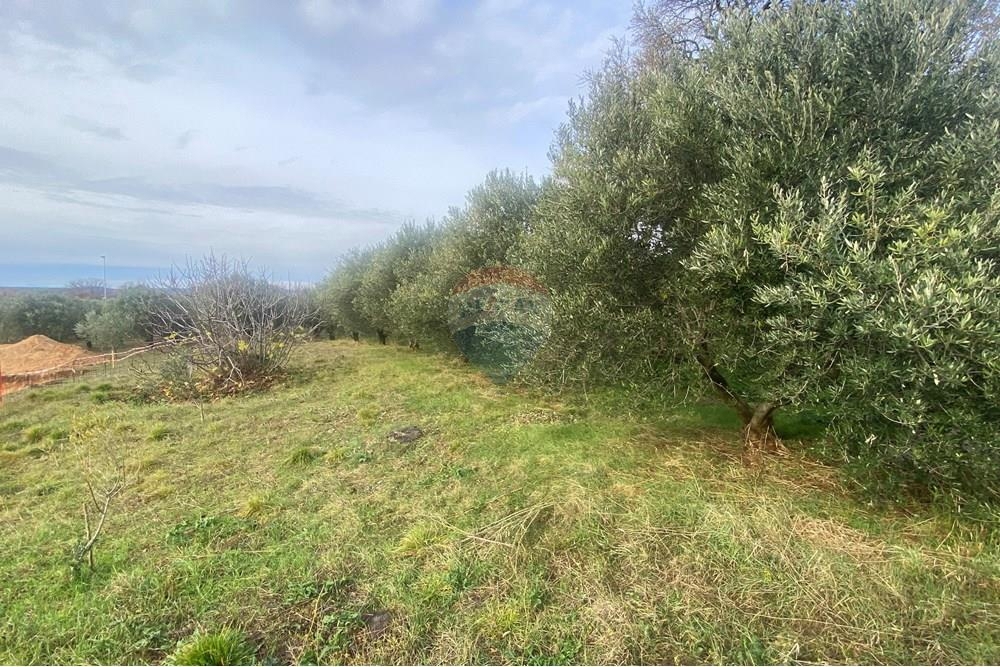 Zemljišče Benkovac, 3.988m2