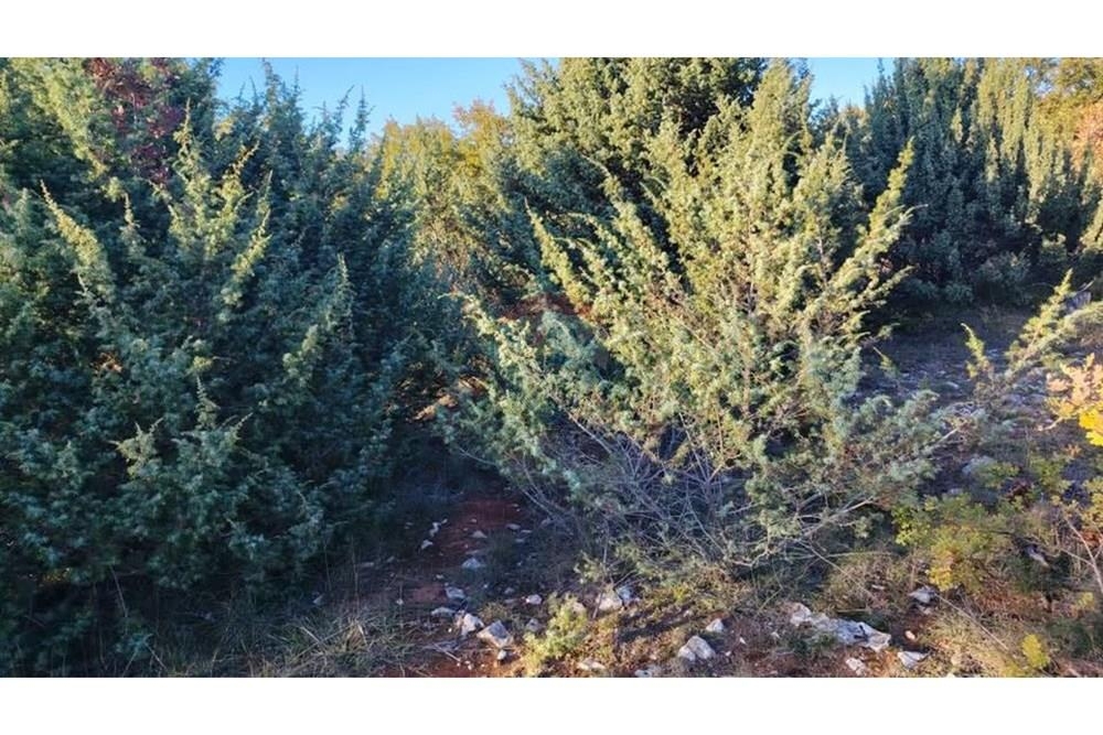 Zemljišče Murvica, Poličnik, 1.068m2