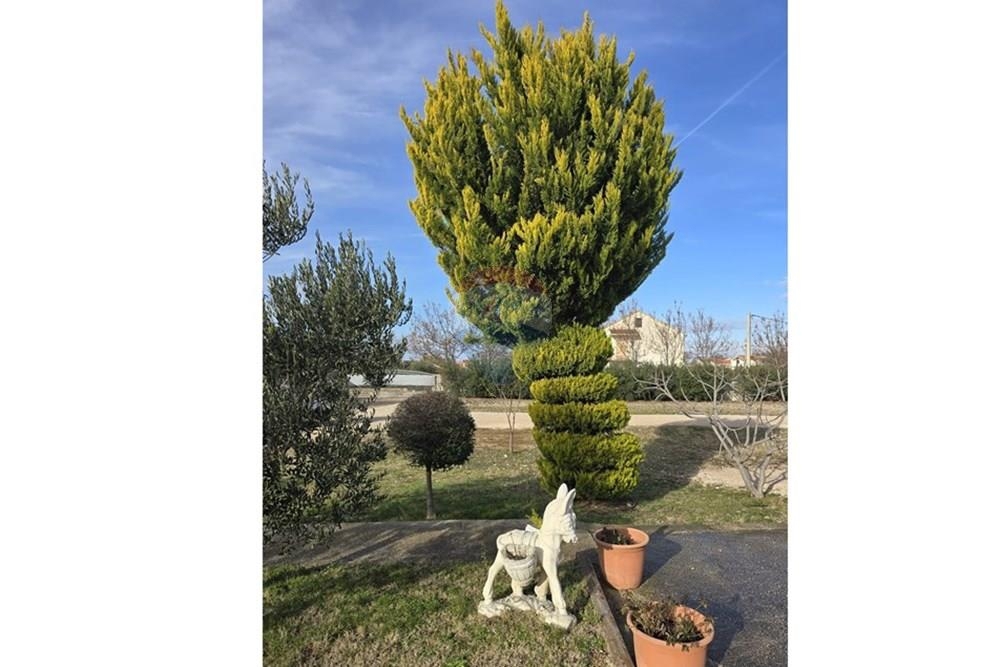 Hiša Podlug, Benkovac, 700m2