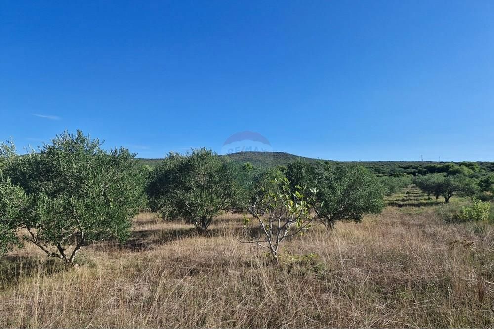 Zemljišče Turanj, Sveti Filip I Jakov, 4.936m2