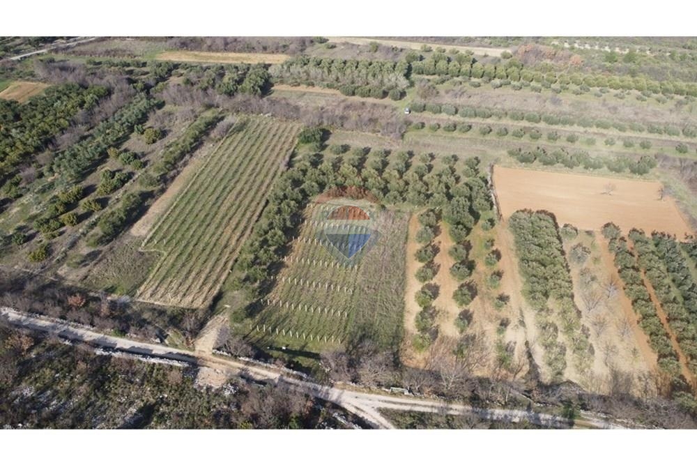 Hiša Pridraga, Novigrad, 150m2