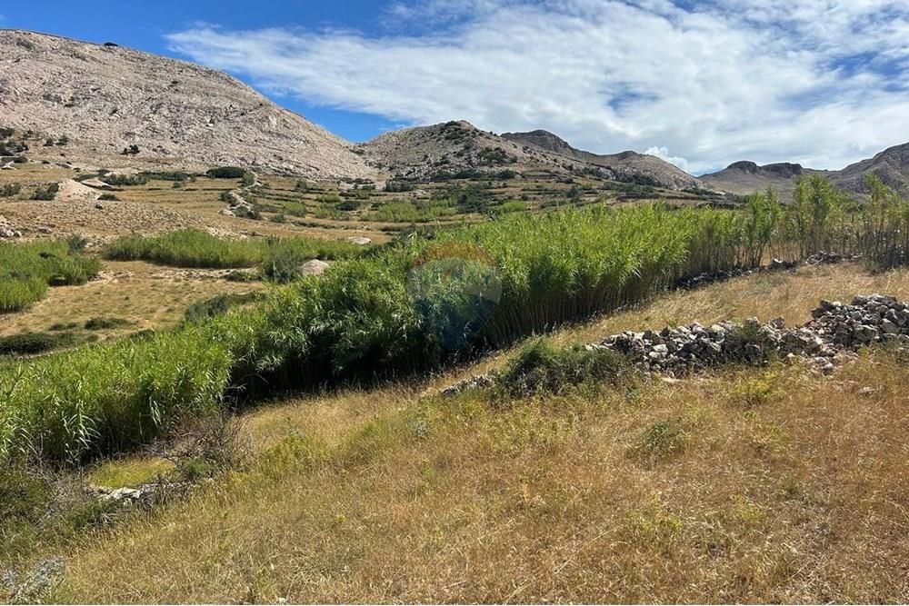 Zemljišče Metajna, Novalja, 1.623m2
