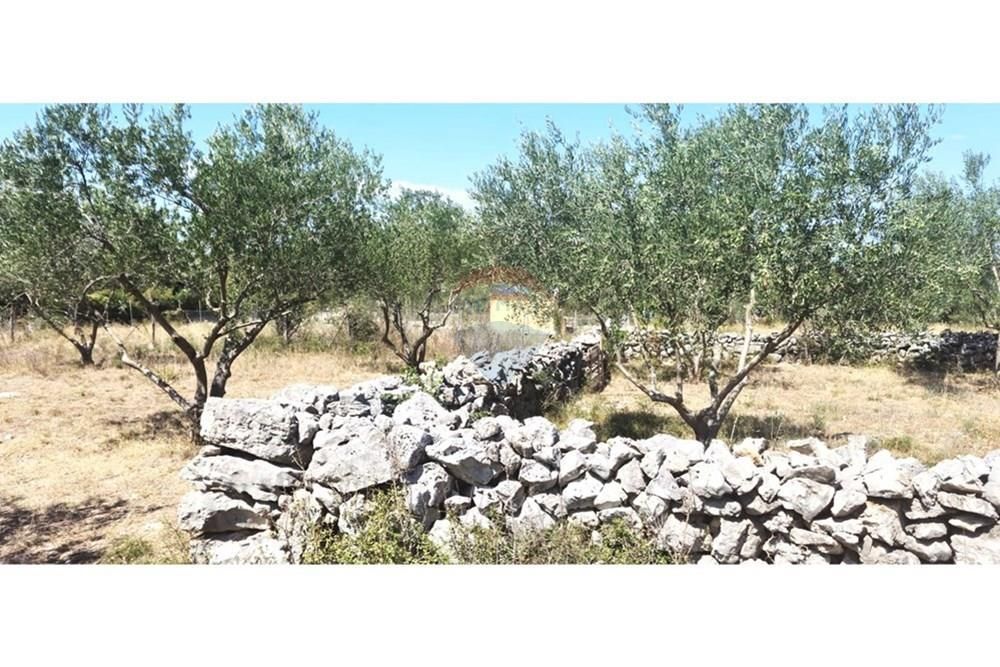 Hiša Donja Jagodnja, Polača, 57m2