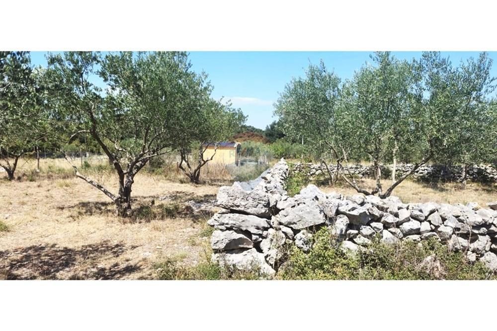 Hiša Donja Jagodnja, Polača, 57m2