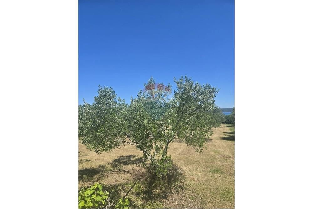 Zemljišče Dobropoljana, Pašman, 700m2