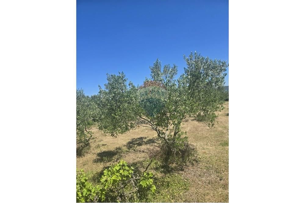 Zemljišče Dobropoljana, Pašman, 700m2