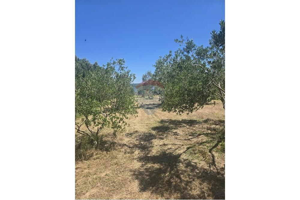 Zemljišče Dobropoljana, Pašman, 700m2