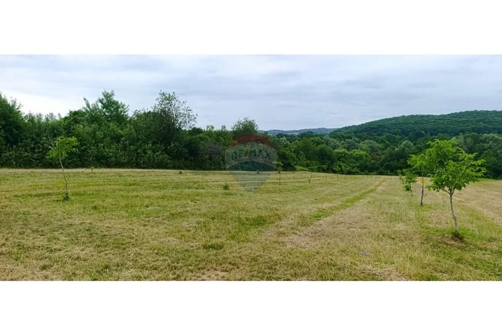Zemljišče Donje Cjepidlake, Đulovac, 7.398m2