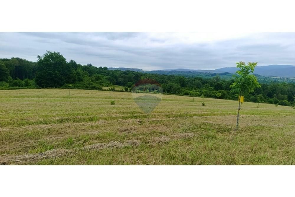 Zemljišče Donje Cjepidlake, Đulovac, 7.398m2