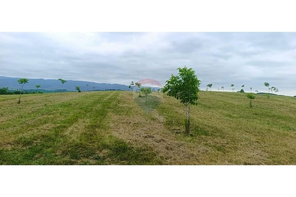 Zemljišče Donje Cjepidlake, Đulovac, 7.398m2