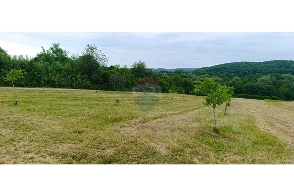 Zemljišče Donje Cjepidlake, Đulovac, 7.398m2