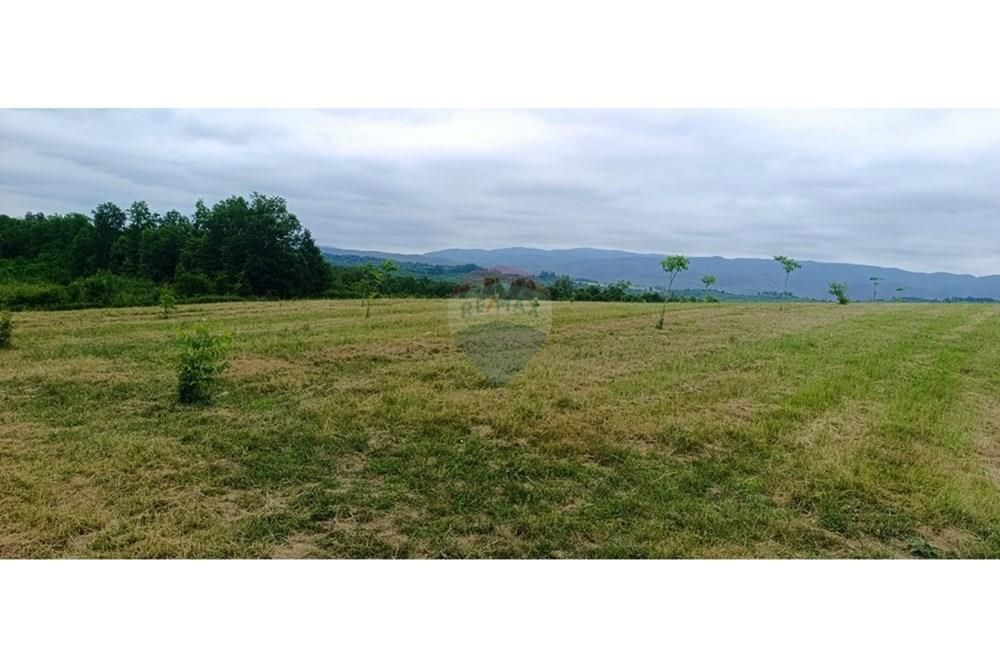 Zemljišče Donje Cjepidlake, Đulovac, 7.398m2