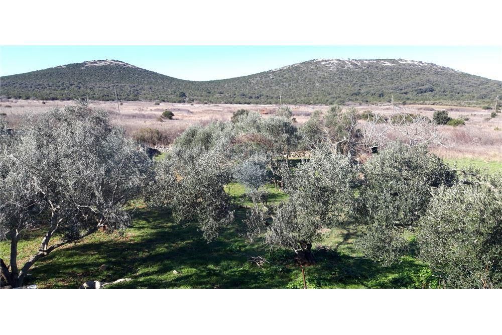 Hiša Molat, Zadar - Okolica, 210m2