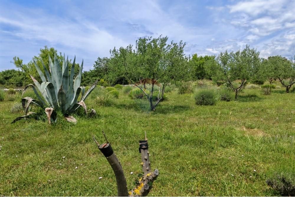 Zemljišče Poličnik, 700m2