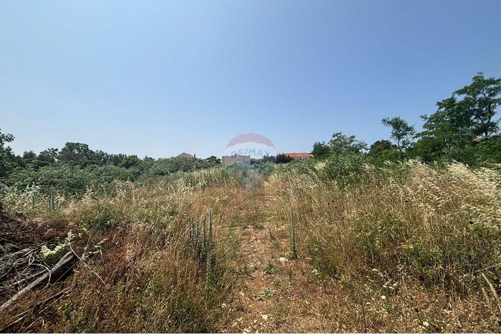 Zemljišče Vrsi, 3.773m2