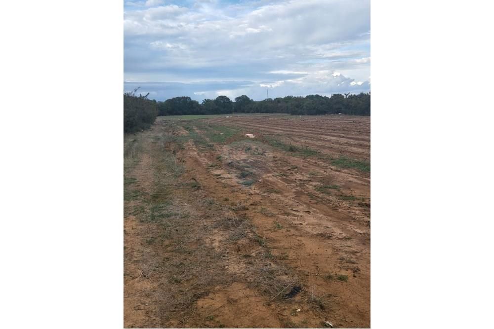 Zemljišče Gornje Raštane, Sveti Filip I Jakov, 9.500m2