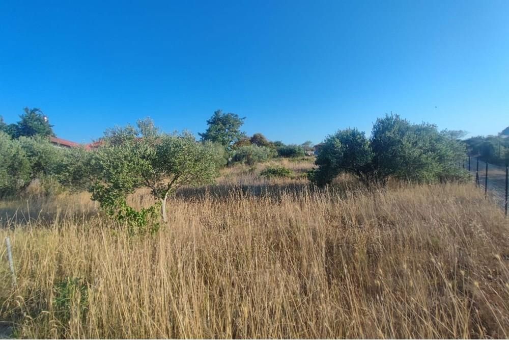 Zemljišče Babindub, Zadar - Okolica, 1.609m2