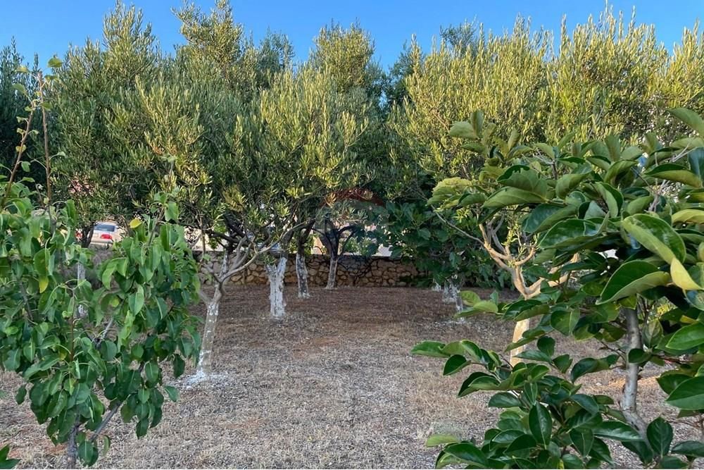 Hiša Stara Novalja, Novalja, 254m2