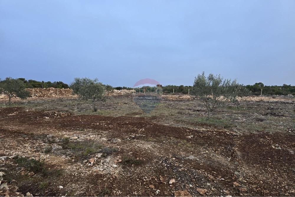 Zemljišče Donje Raštane, Sveti Filip I Jakov, 2.206m2