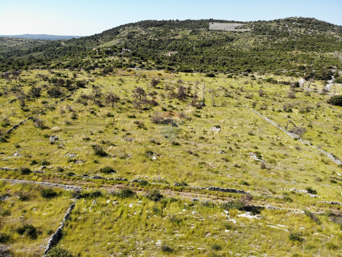 Kmetijsko zemljišče z velikim potencialom 13010 m2, Primošten