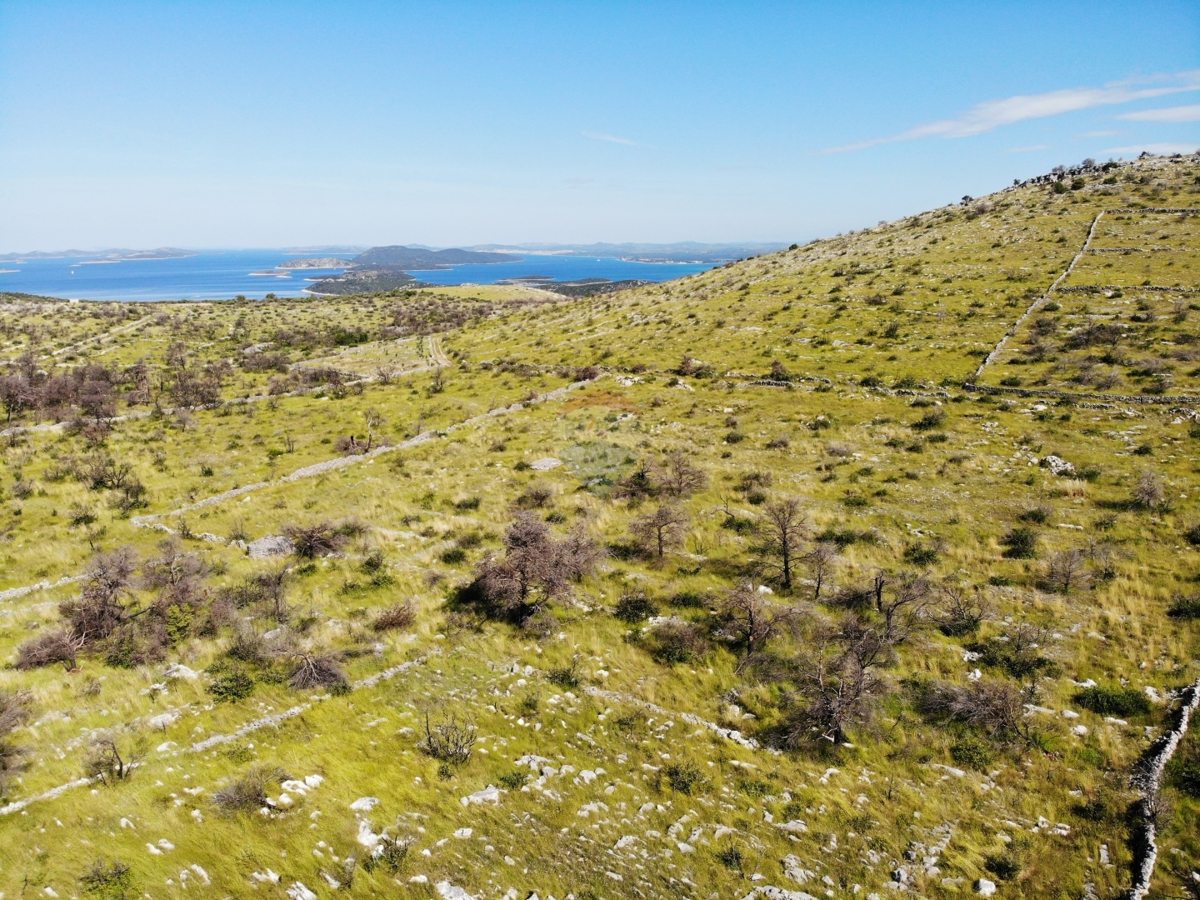 Kmetijsko zemljišče z velikim potencialom 13010 m2, Primošten