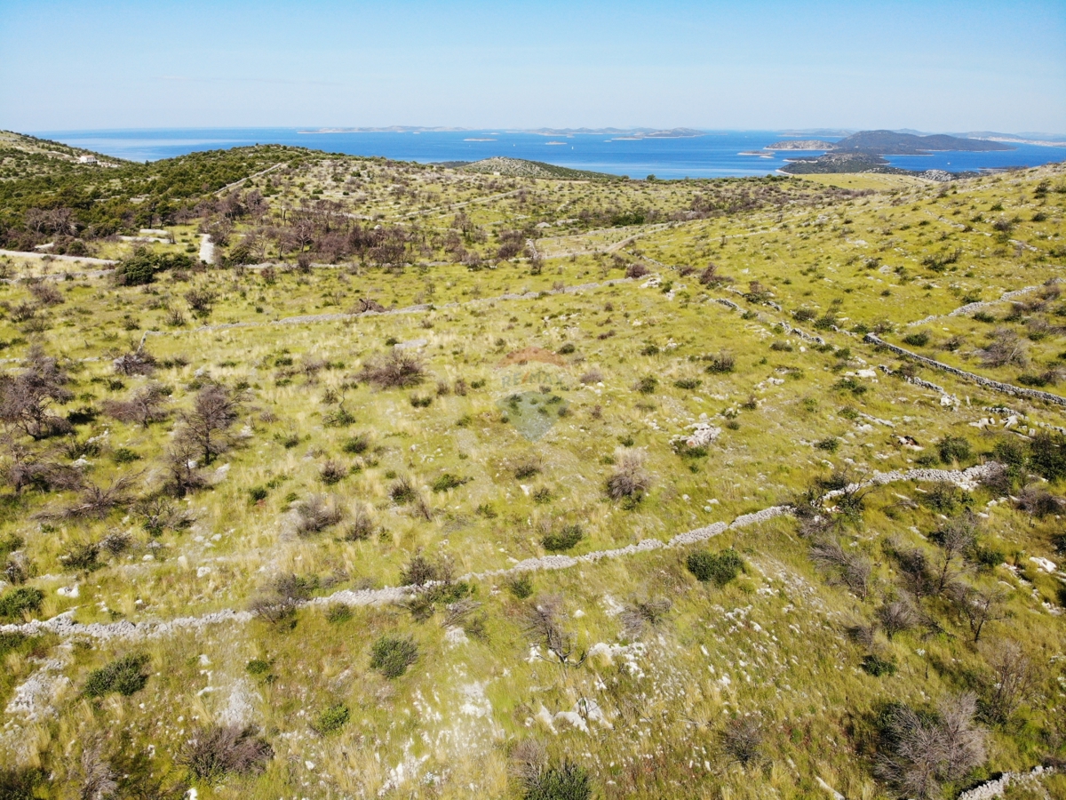 Kmetijsko zemljišče z velikim potencialom 13010 m2, Primošten