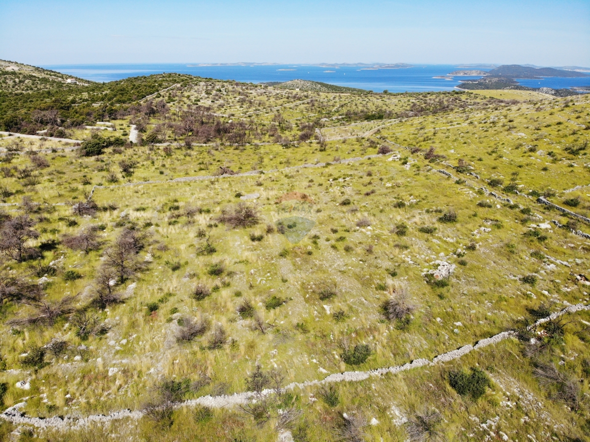 Kmetijsko zemljišče z velikim potencialom 13010 m2, Primošten