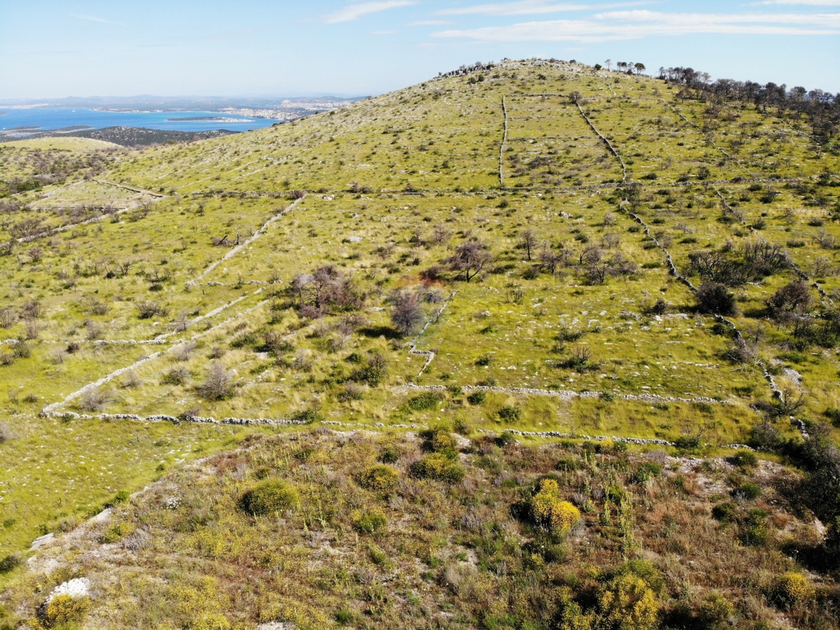 Kmetijsko zemljišče z velikim potencialom 13010 m2, Primošten