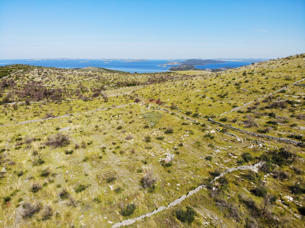 Kmetijsko zemljišče z velikim potencialom 13010 m2, Primošten