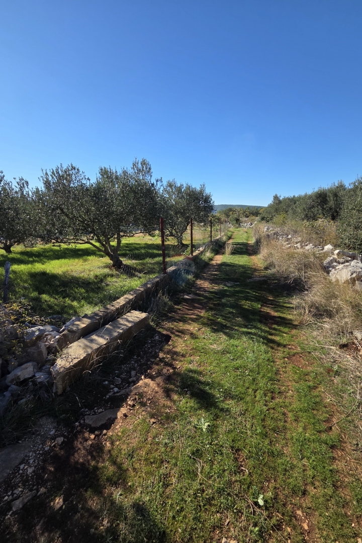 Zemljišče Dubrava Kod Šibenika, Šibenik - Okolica, 1.167m2