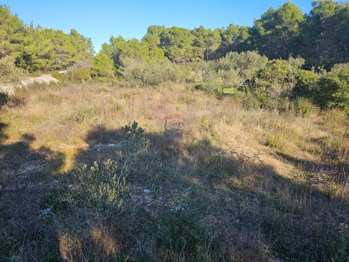 Zemljišče Zablaće, Šibenik - Okolica, 913m2