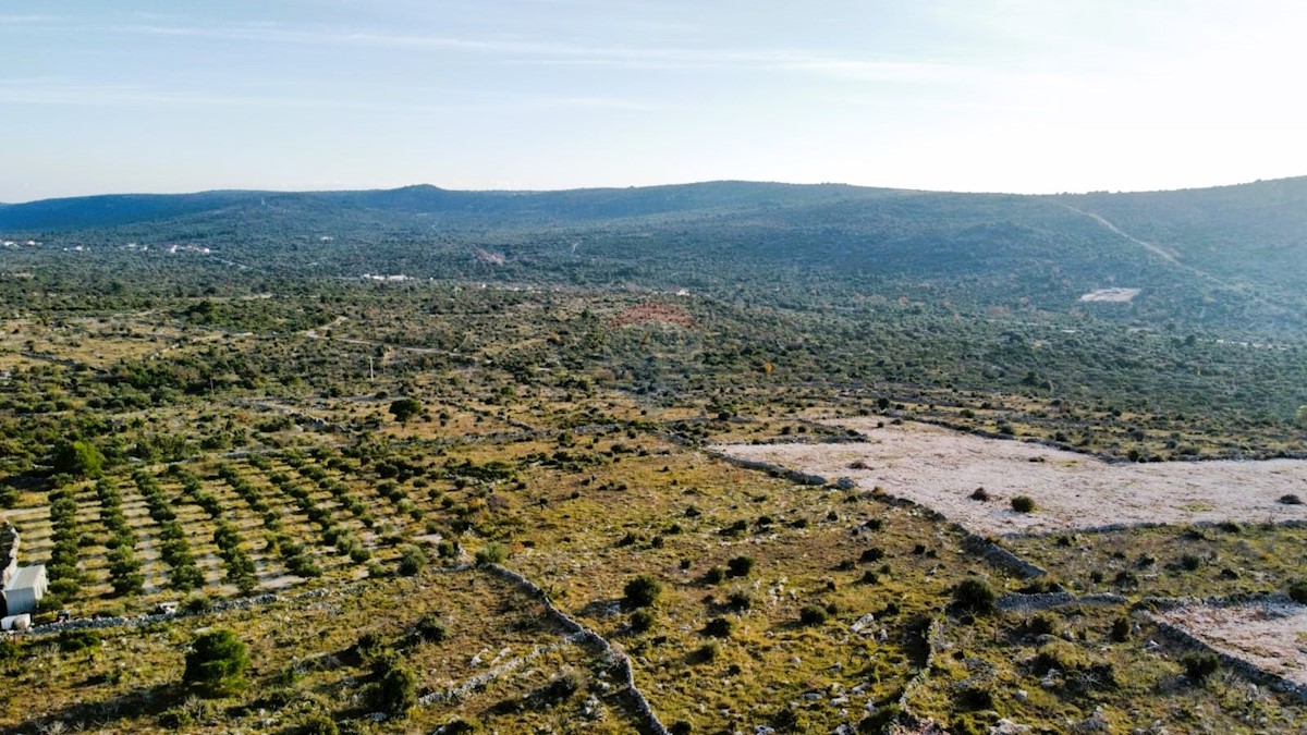 Rustikalna vila z 2 ha vrta v Rogoznici