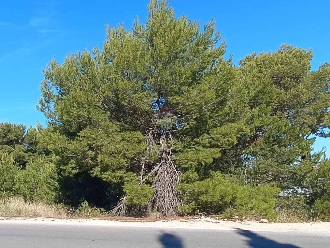 Zemljišče Mandalina, Šibenik, 1.300m2