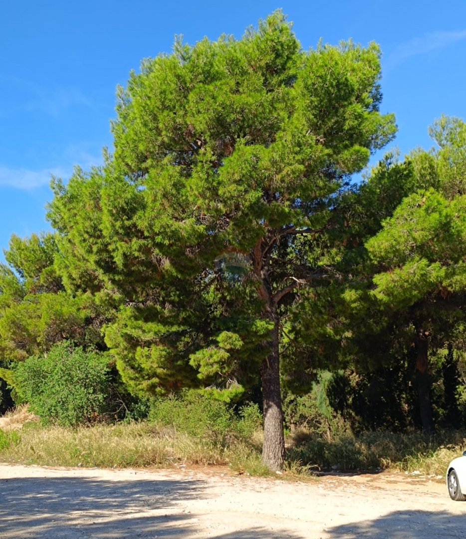 Zemljišče Mandalina, Šibenik, 1.300m2