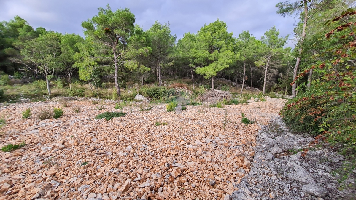 Zemljišče Dubrava Kod Šibenika, Šibenik - Okolica, 1.000m2