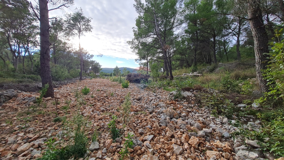 Zemljišče Dubrava Kod Šibenika, Šibenik - Okolica, 1.000m2