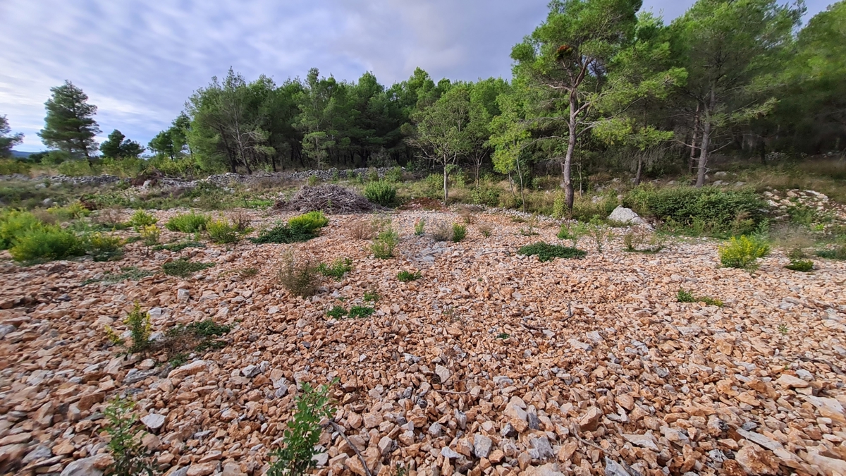 Zemljišče Dubrava Kod Šibenika, Šibenik - Okolica, 1.000m2