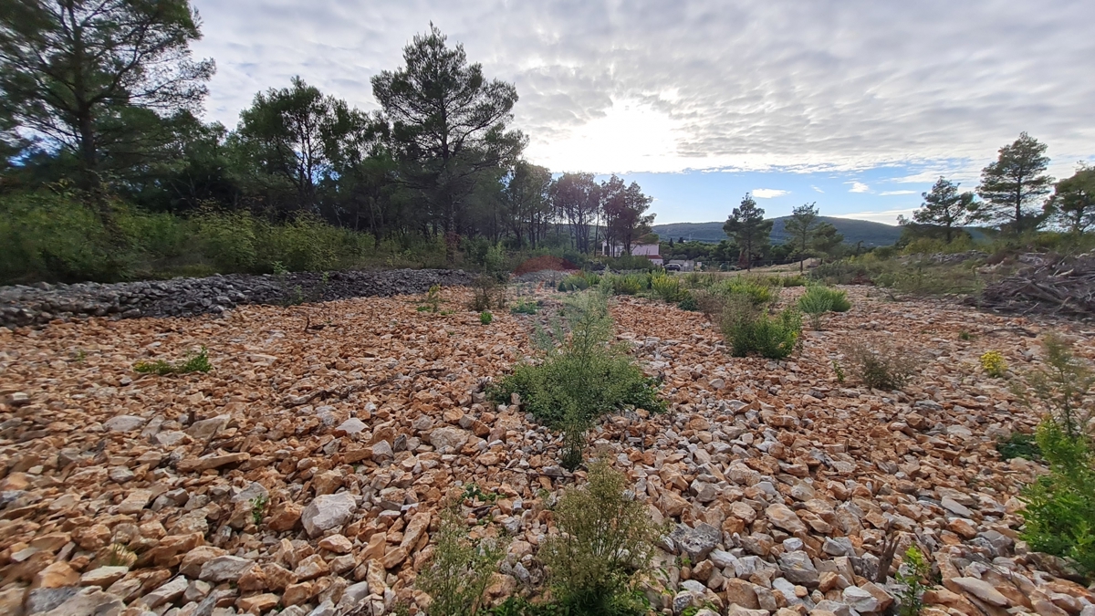 Zemljišče Dubrava Kod Šibenika, Šibenik - Okolica, 1.000m2