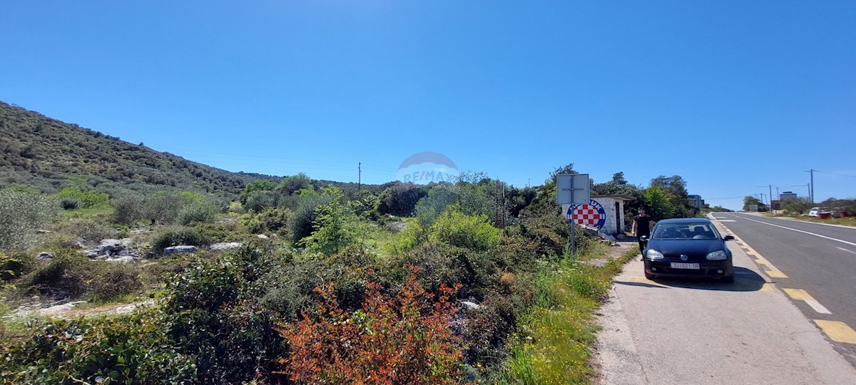 Uređeni Maslinik 17345 m2, Rogoznica