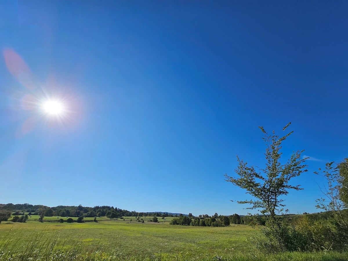 Nepremičnine Istra, prodajam stavbno zemljišče, okolica Buja