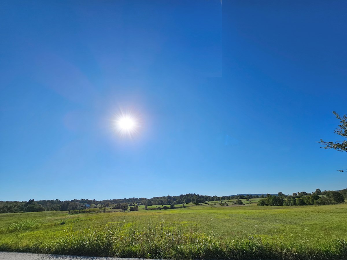 Nepremičnine Istra, prodajam stavbno zemljišče, okolica Buja