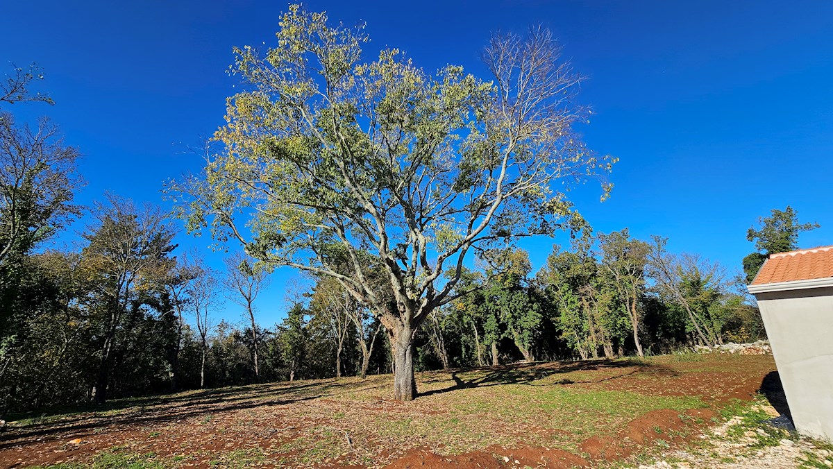 Nepremičnine Istra, prodam hišo z bazenom, okolica Buja